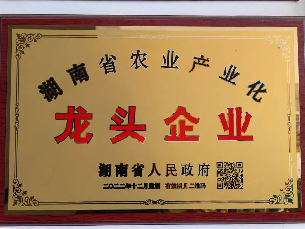龙头企业