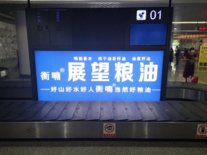 农副产品加工,粮食收购,油料的种植,湖南省展望生物科技发展有限公司